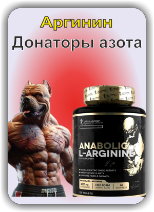 Аргинин и донаторы азота