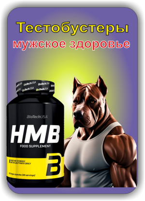 Тестобустеры и мужское здоровье